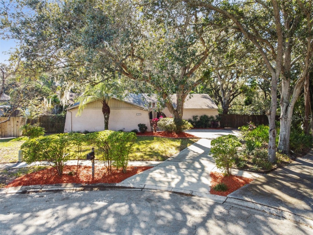 1910 Forest View Drive Palm Harbor FL 34683 T3495252 image1