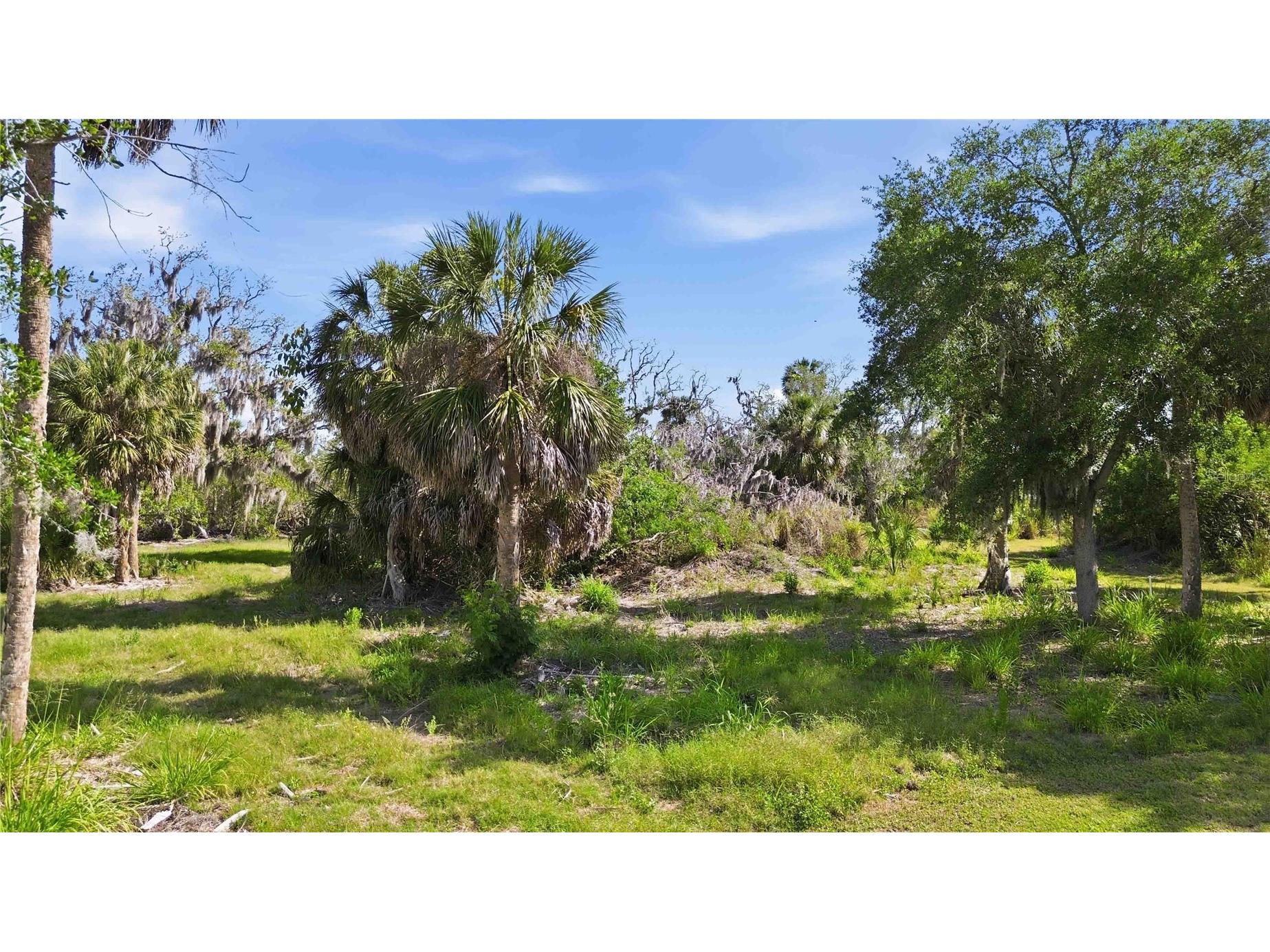 1910 Kennedy Court Terra Ceia FL 34250 A4690865 image14