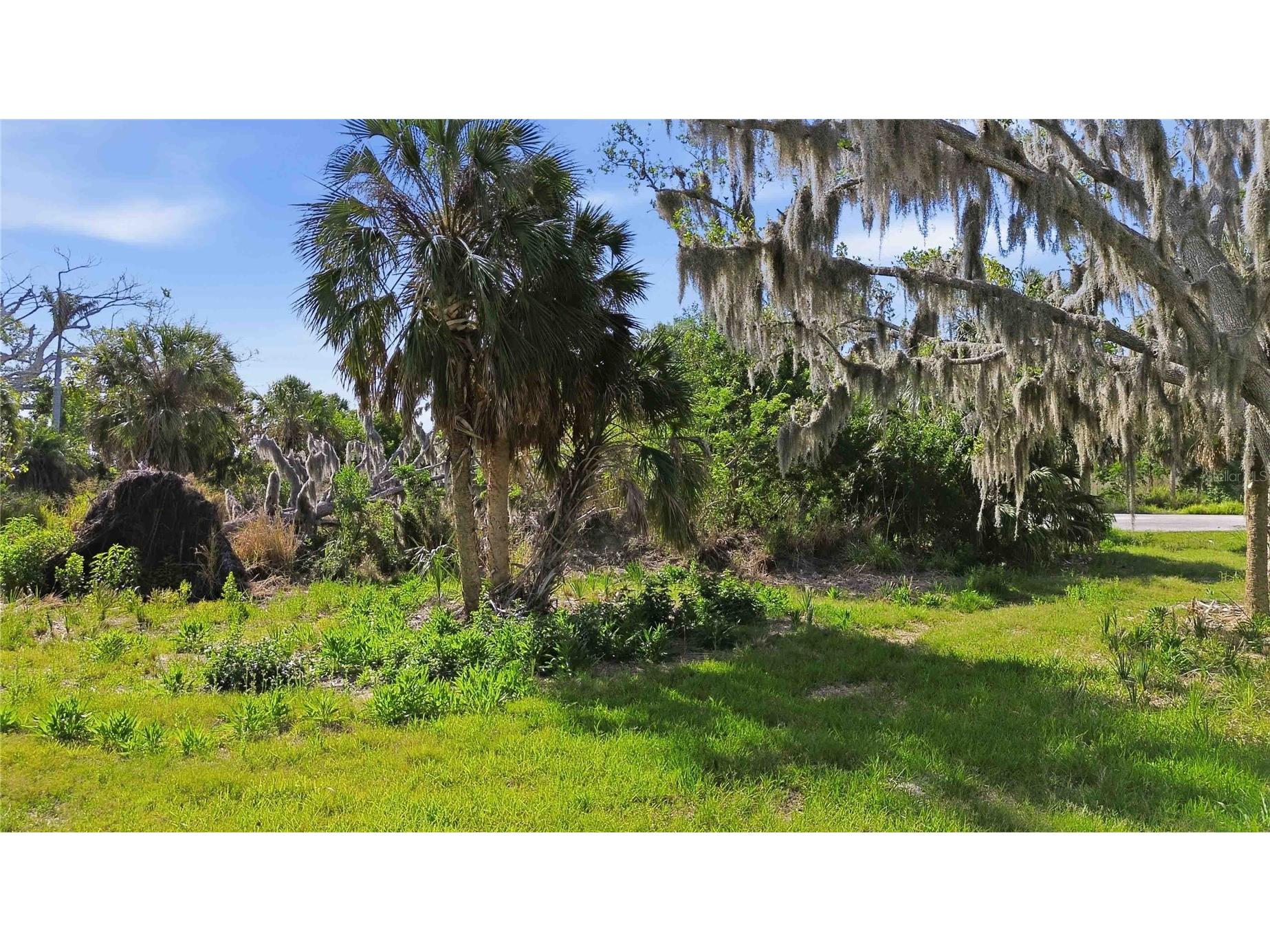 1910 Kennedy Court Terra Ceia FL 34250 A4690865 image16
