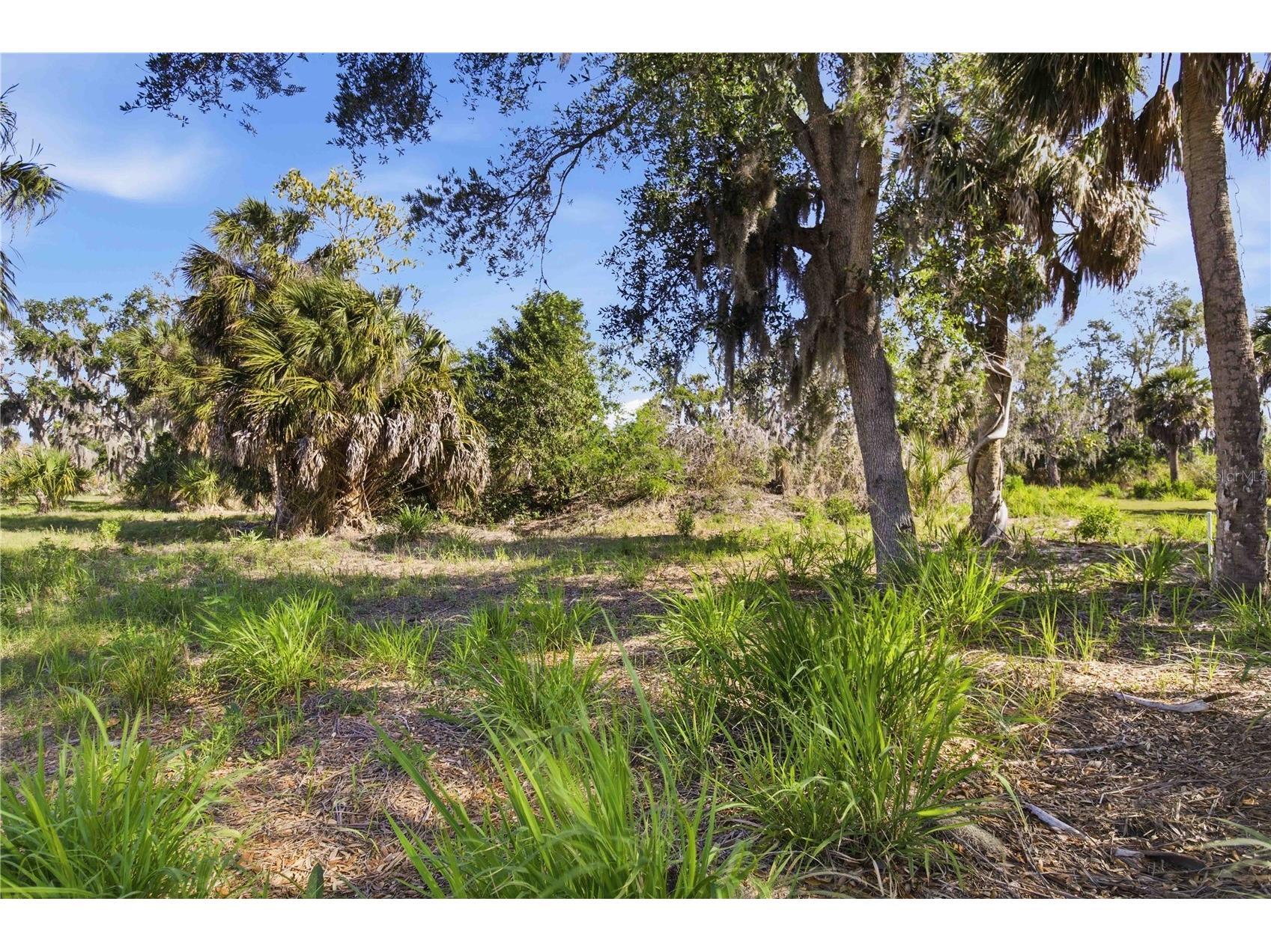 1910 Kennedy Court Terra Ceia FL 34250 A4690865 image18