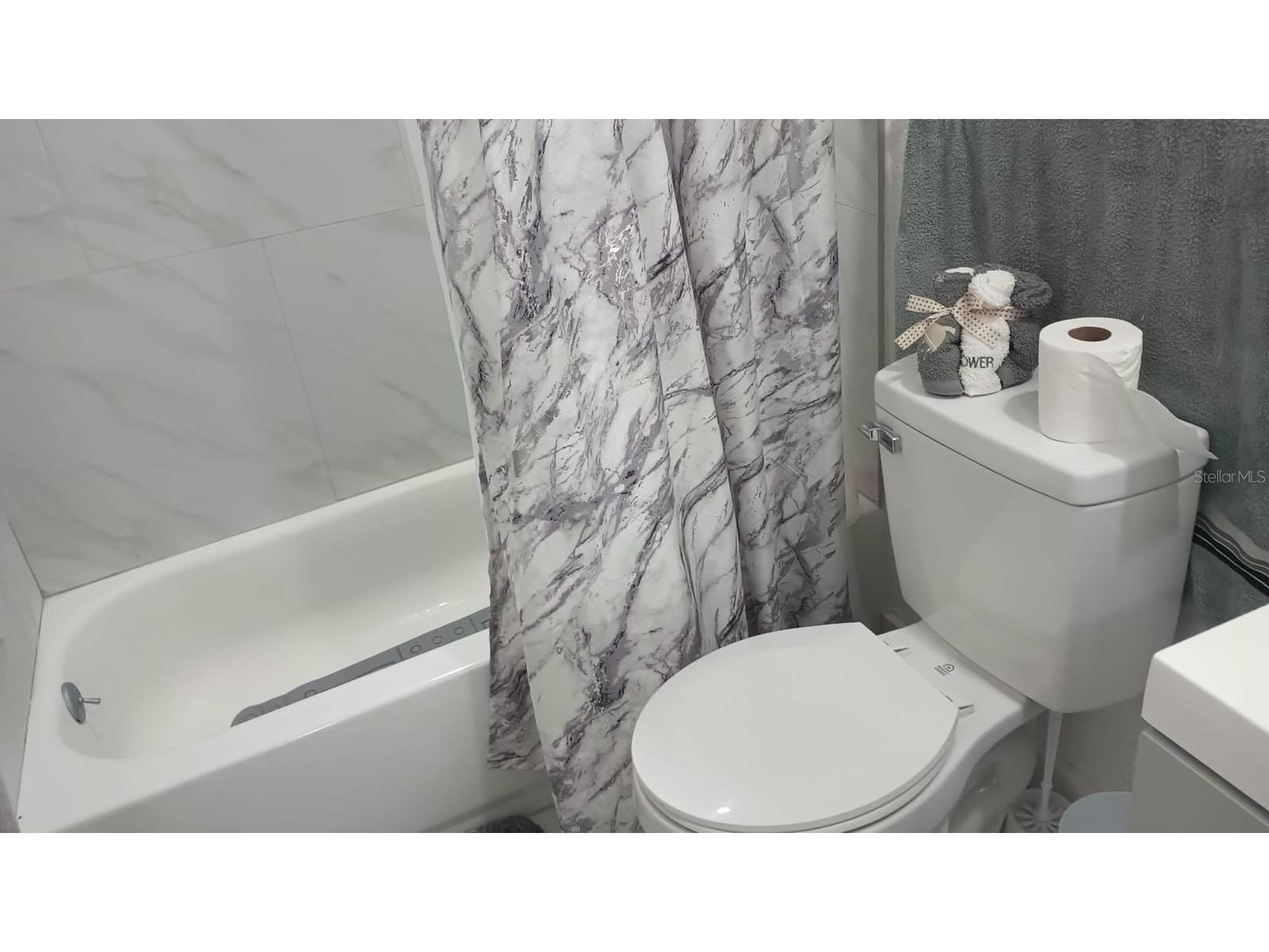 1910 Lithia Pinecrest Road Valrico FL 33596 TB8498669 image10