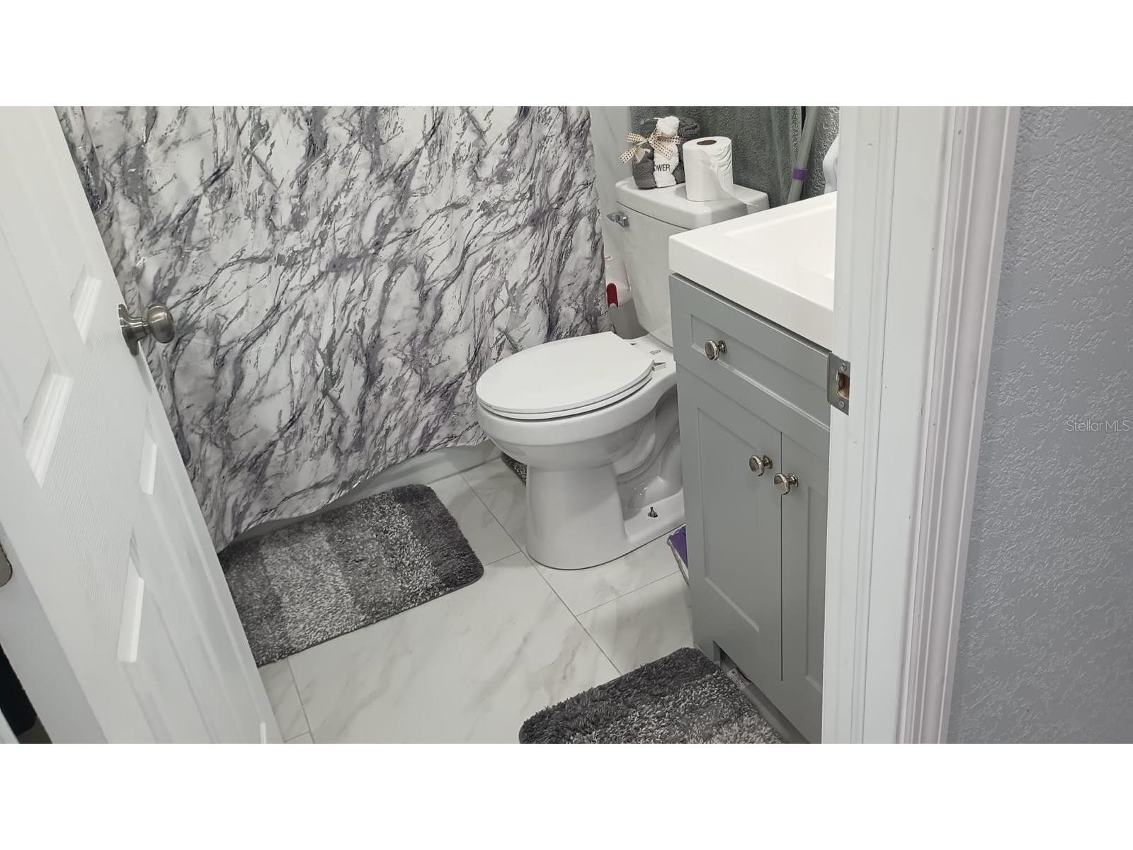 1910 Lithia Pinecrest Road Valrico FL 33596 TB8498669 image6