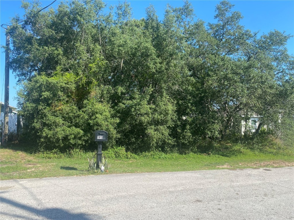 1910 Michigan Drive Kissimmee FL 34759 P4930554 image1