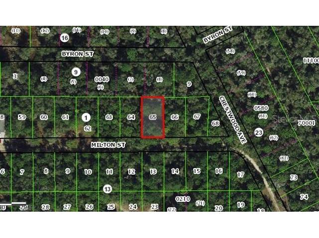 1910 Milton Street Inverness FL 34453 OM691877 image1