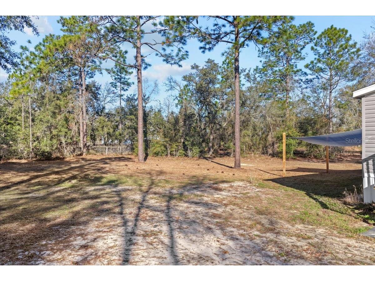 1910 NE 155th Court Williston FL 32696 OM717751 image31