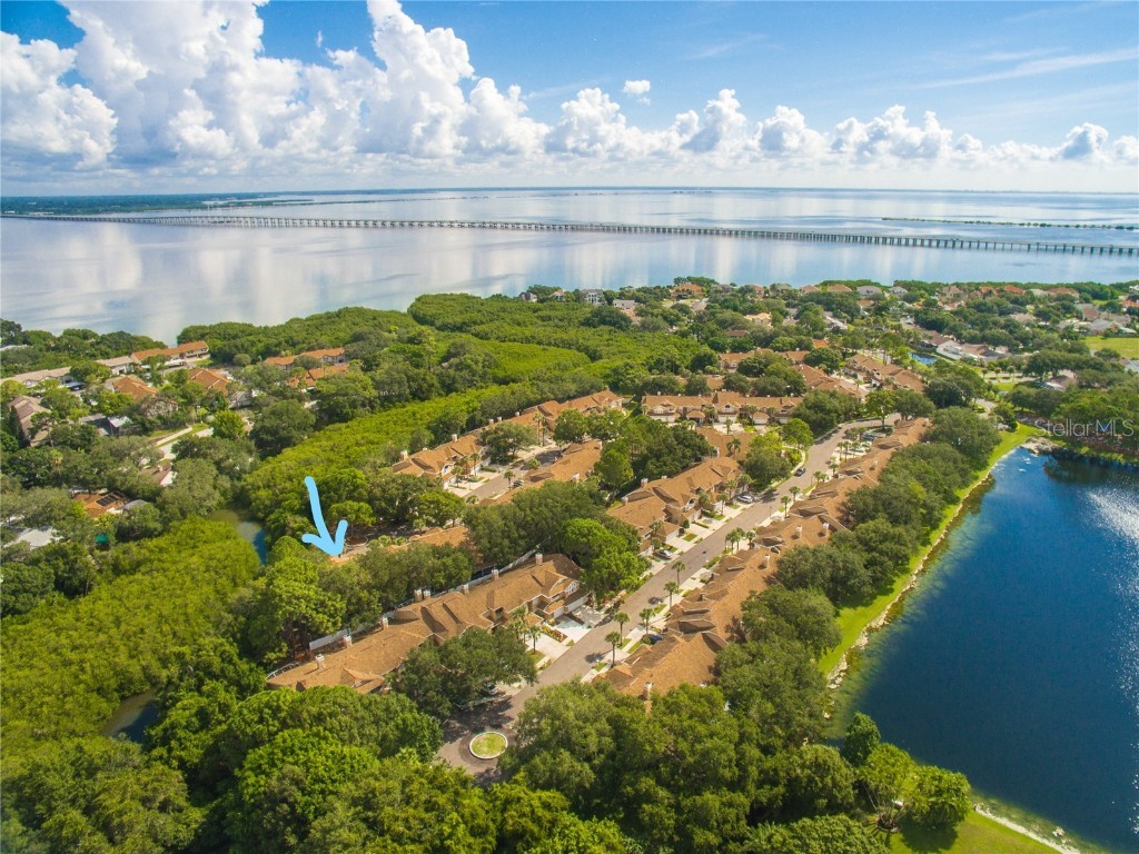 1910 Northfork Circle Clearwater FL 33760 U8206781 image1