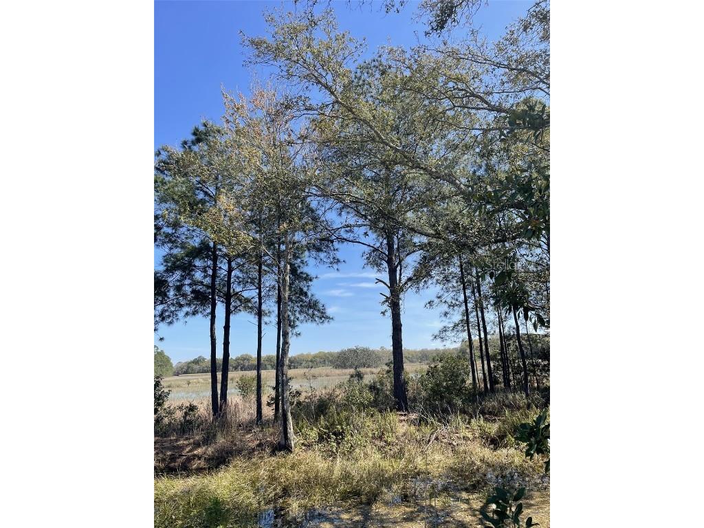 19100 County Road 33 Groveland FL 34736 G5093950 image10