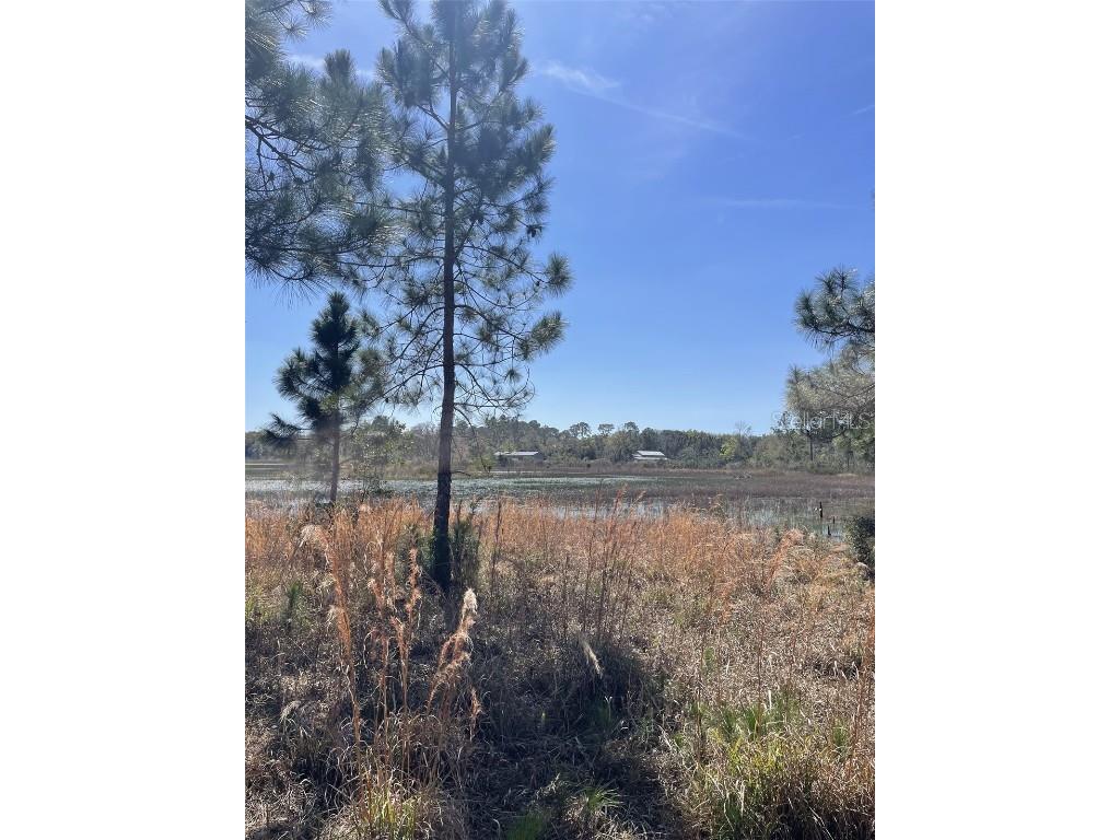 19100 County Road 33 Groveland FL 34736 G5093950 image12