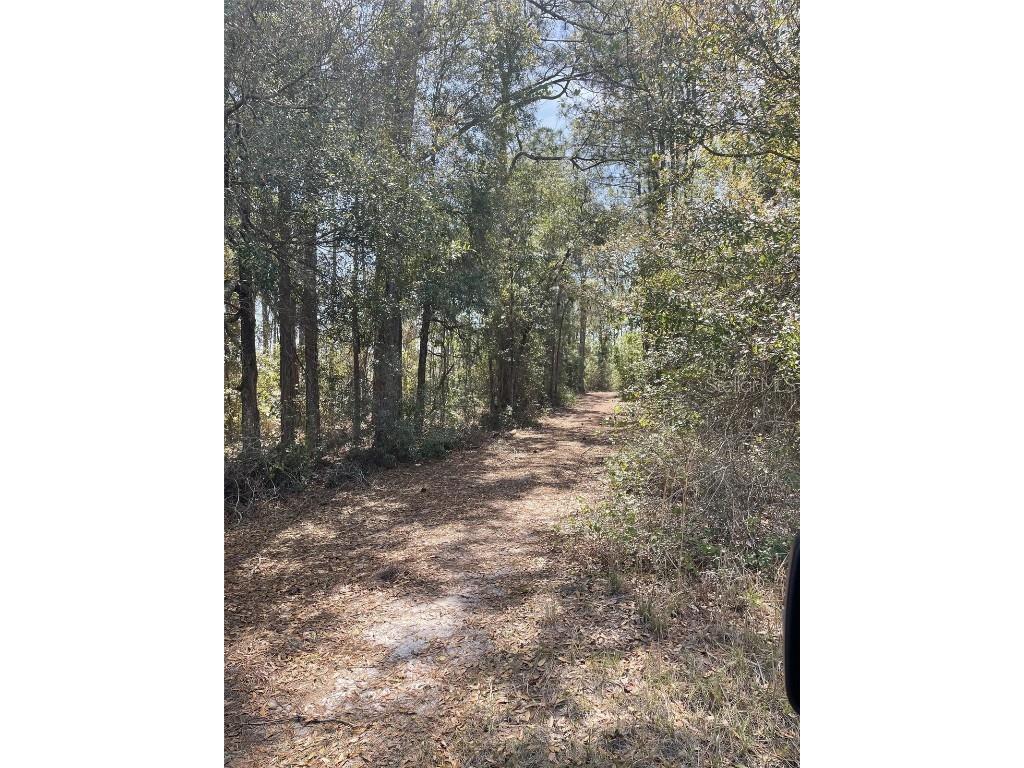 19100 County Road 33 Groveland FL 34736 G5093950 image13