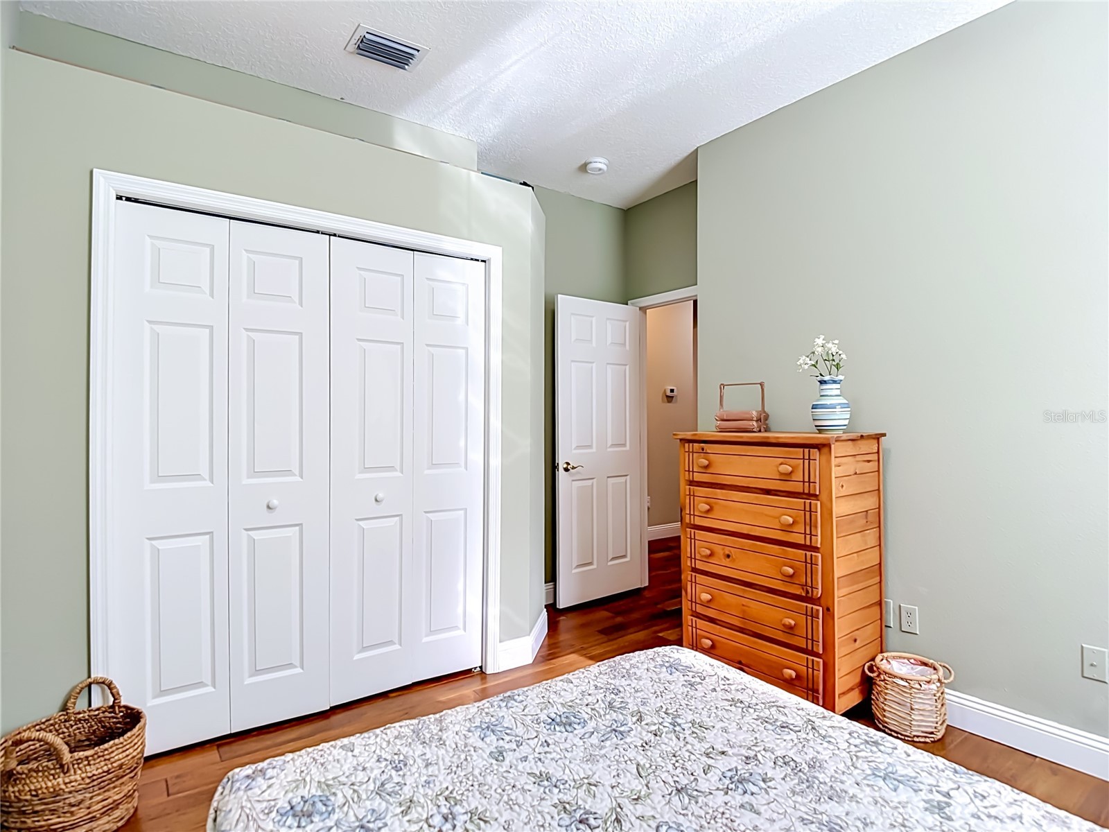 19101 Golden Cacoon Place Lutz FL 33558 TB8516413 image24