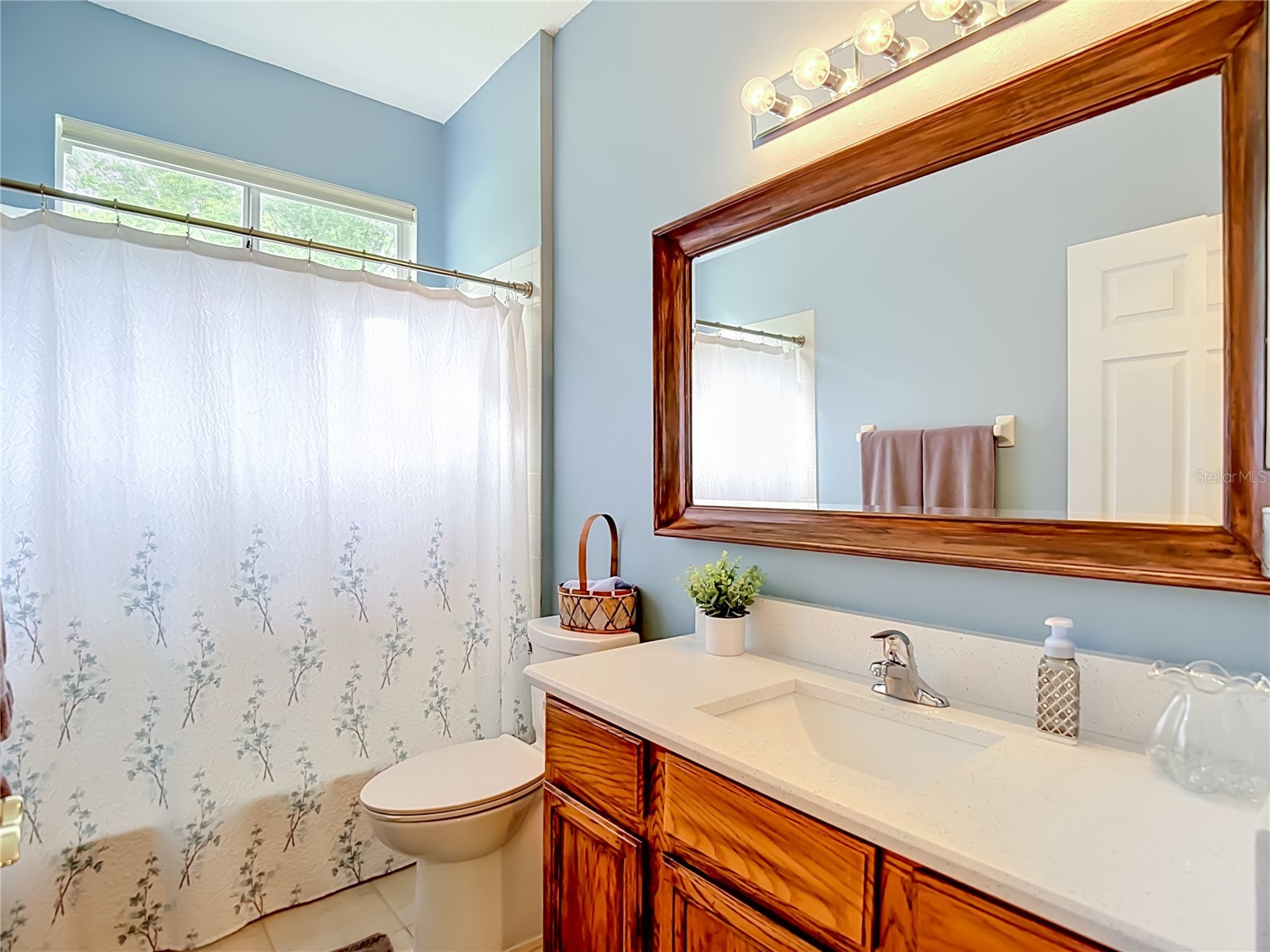 19101 Golden Cacoon Place Lutz FL 33558 TB8516413 image25