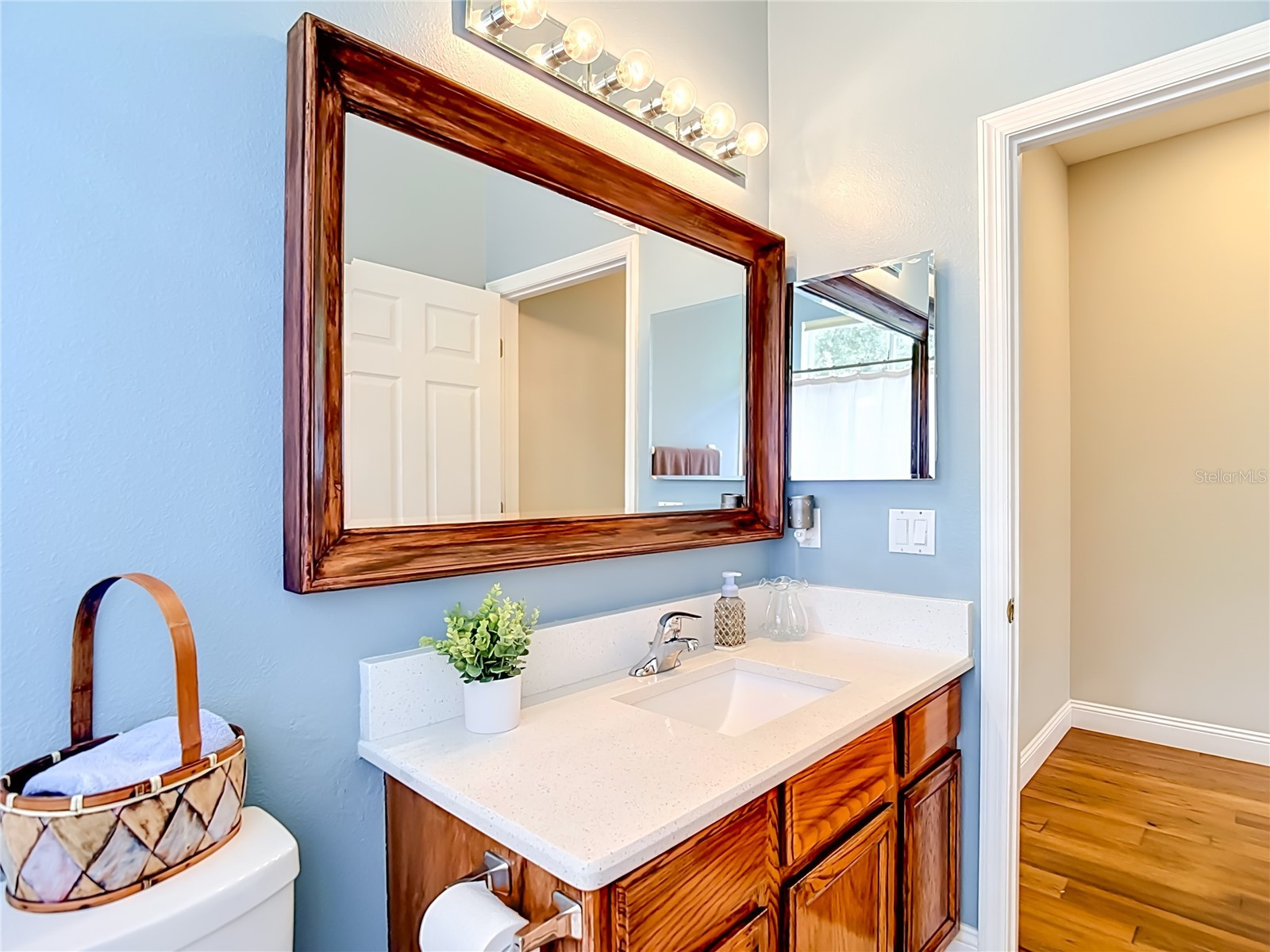 19101 Golden Cacoon Place Lutz FL 33558 TB8516413 image26