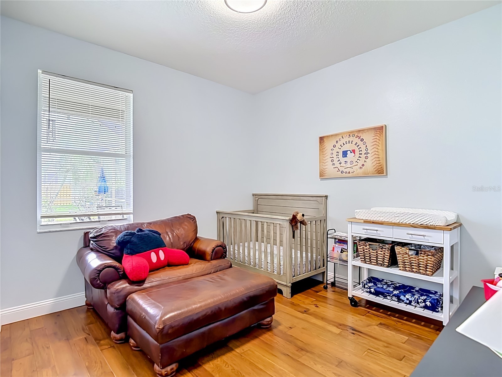 19101 Golden Cacoon Place Lutz FL 33558 TB8516413 image31