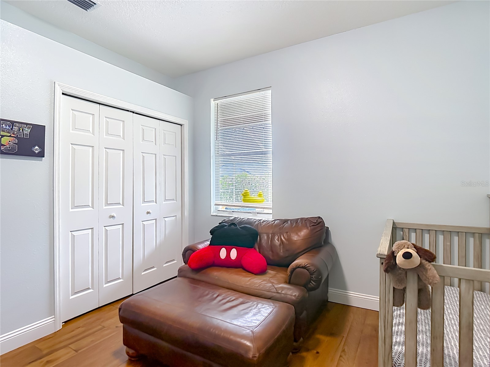 19101 Golden Cacoon Place Lutz FL 33558 TB8516413 image32