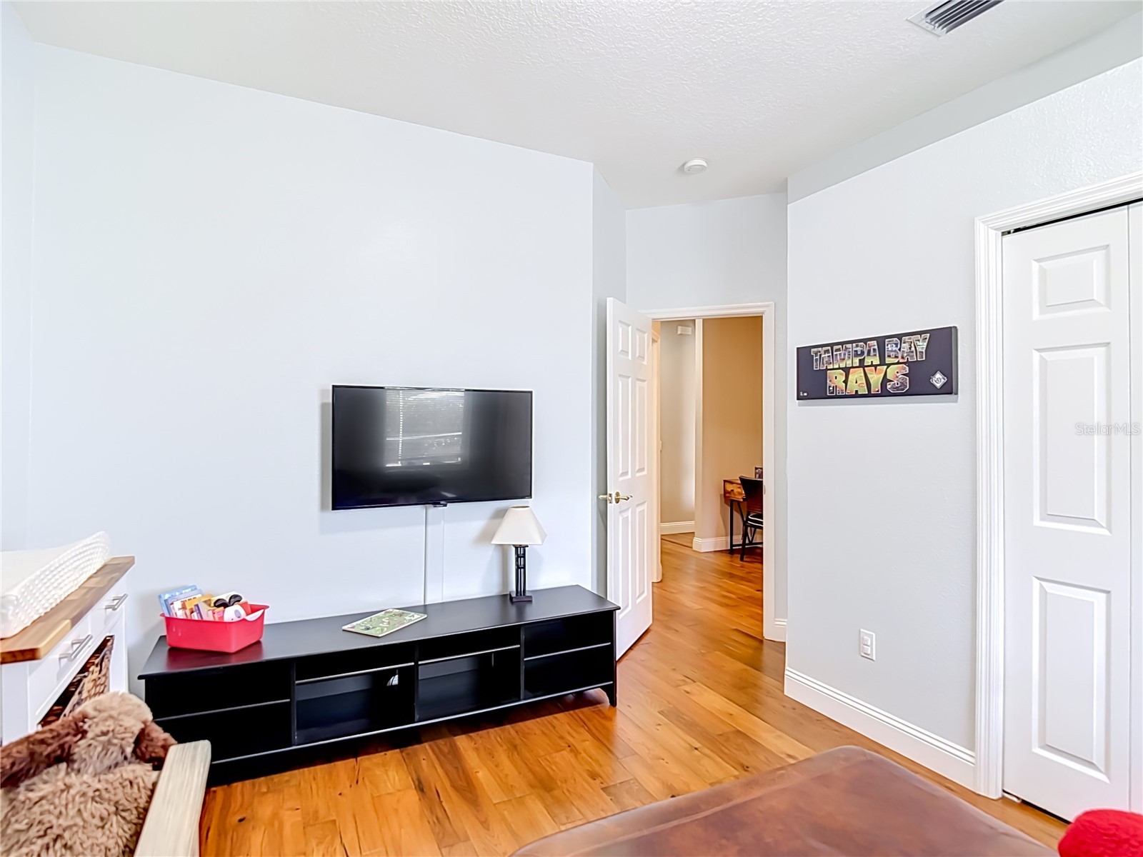 19101 Golden Cacoon Place Lutz FL 33558 TB8516413 image33