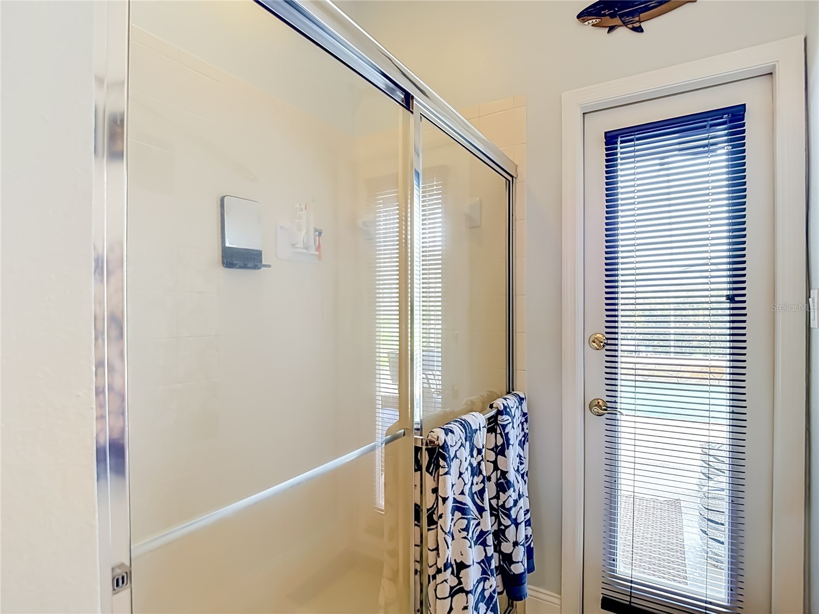 19101 Golden Cacoon Place Lutz FL 33558 TB8516413 image35