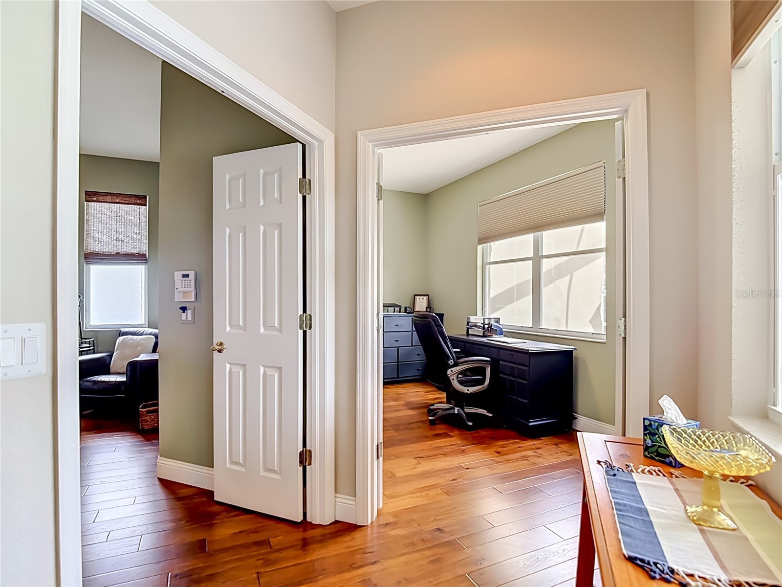 19101 Golden Cacoon Place Lutz FL 33558 TB8516413 image36