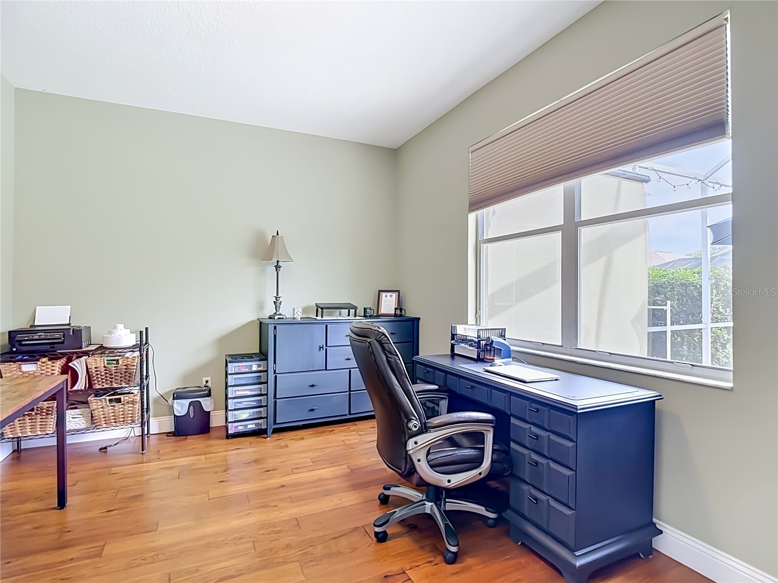 19101 Golden Cacoon Place Lutz FL 33558 TB8516413 image37