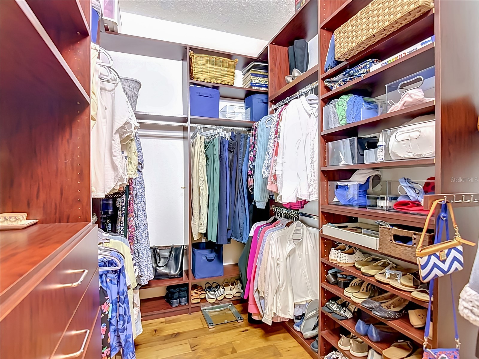 19101 Golden Cacoon Place Lutz FL 33558 TB8516413 image43
