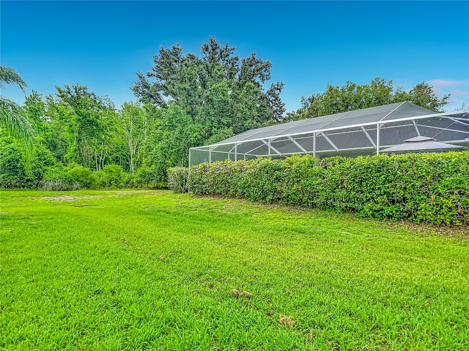 19101 Golden Cacoon Place Lutz FL 33558 TB8516413 image53