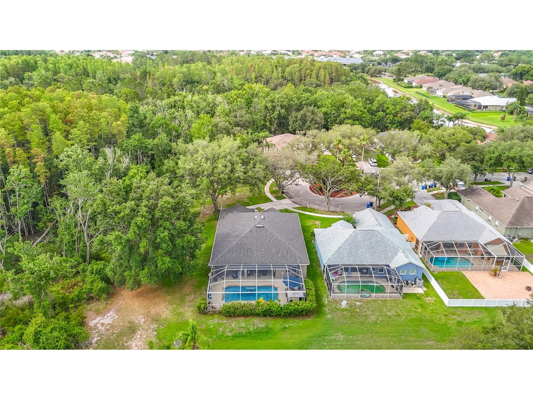 19101 Golden Cacoon Place Lutz FL 33558 TB8516413 image55