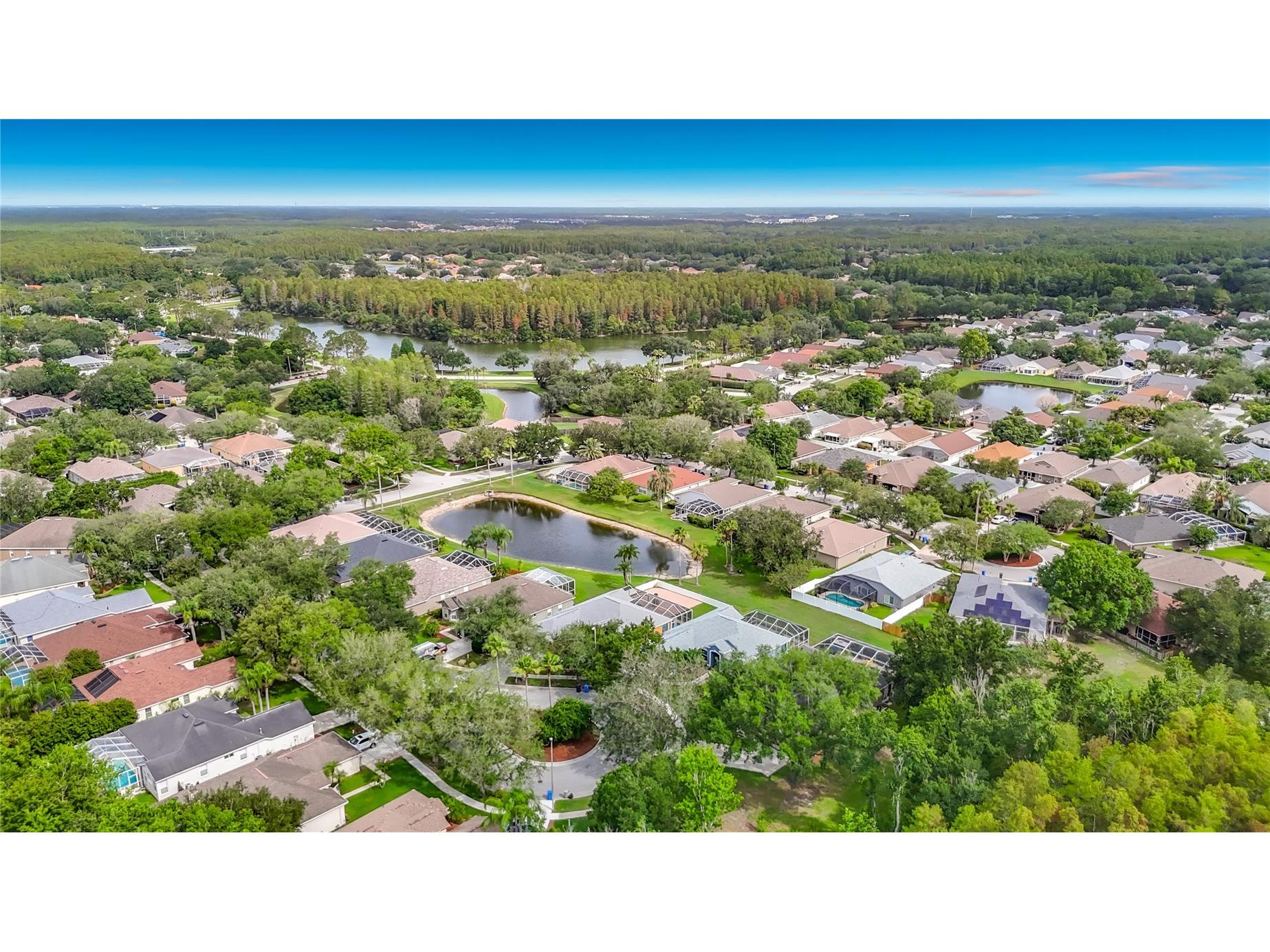 19101 Golden Cacoon Place Lutz FL 33558 TB8516413 image56