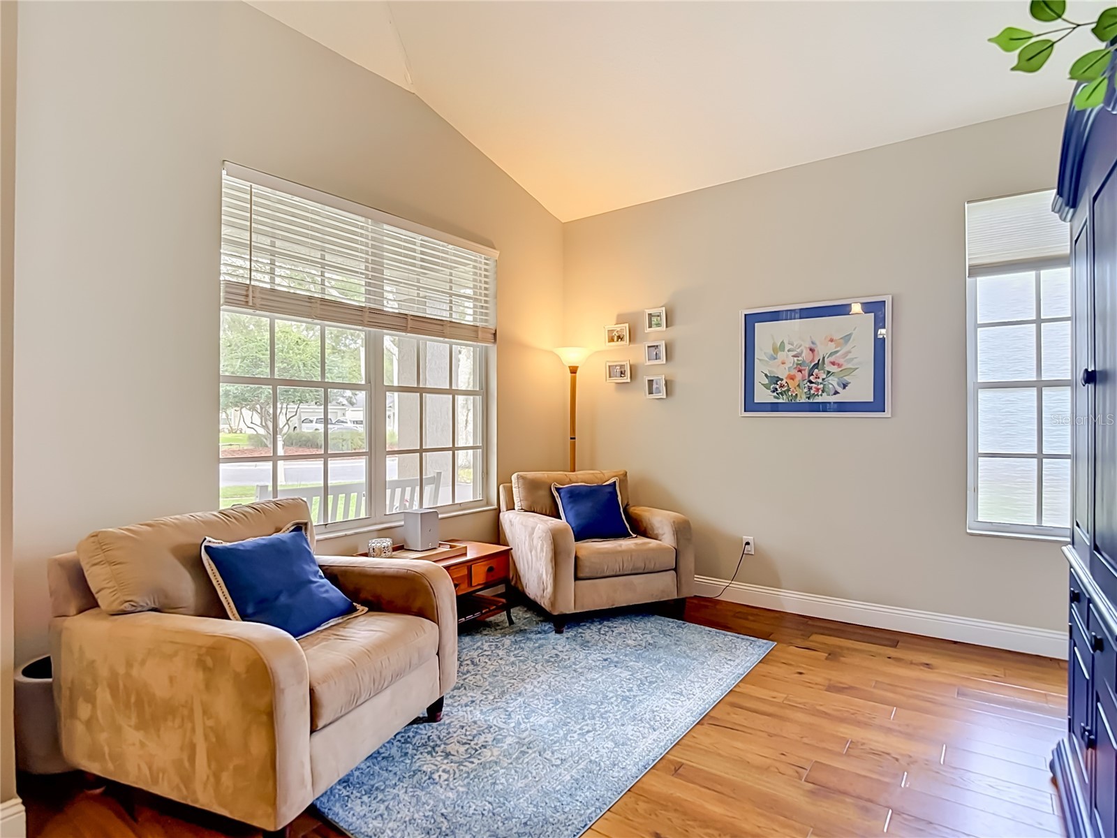 19101 Golden Cacoon Place Lutz FL 33558 TB8516413 image6