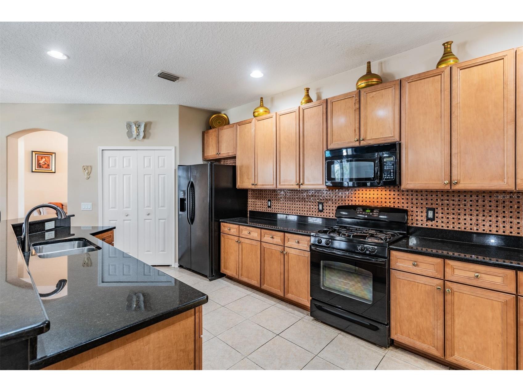 19101 Lone Creek Court Land O Lakes FL 34638 TB8486736 image13