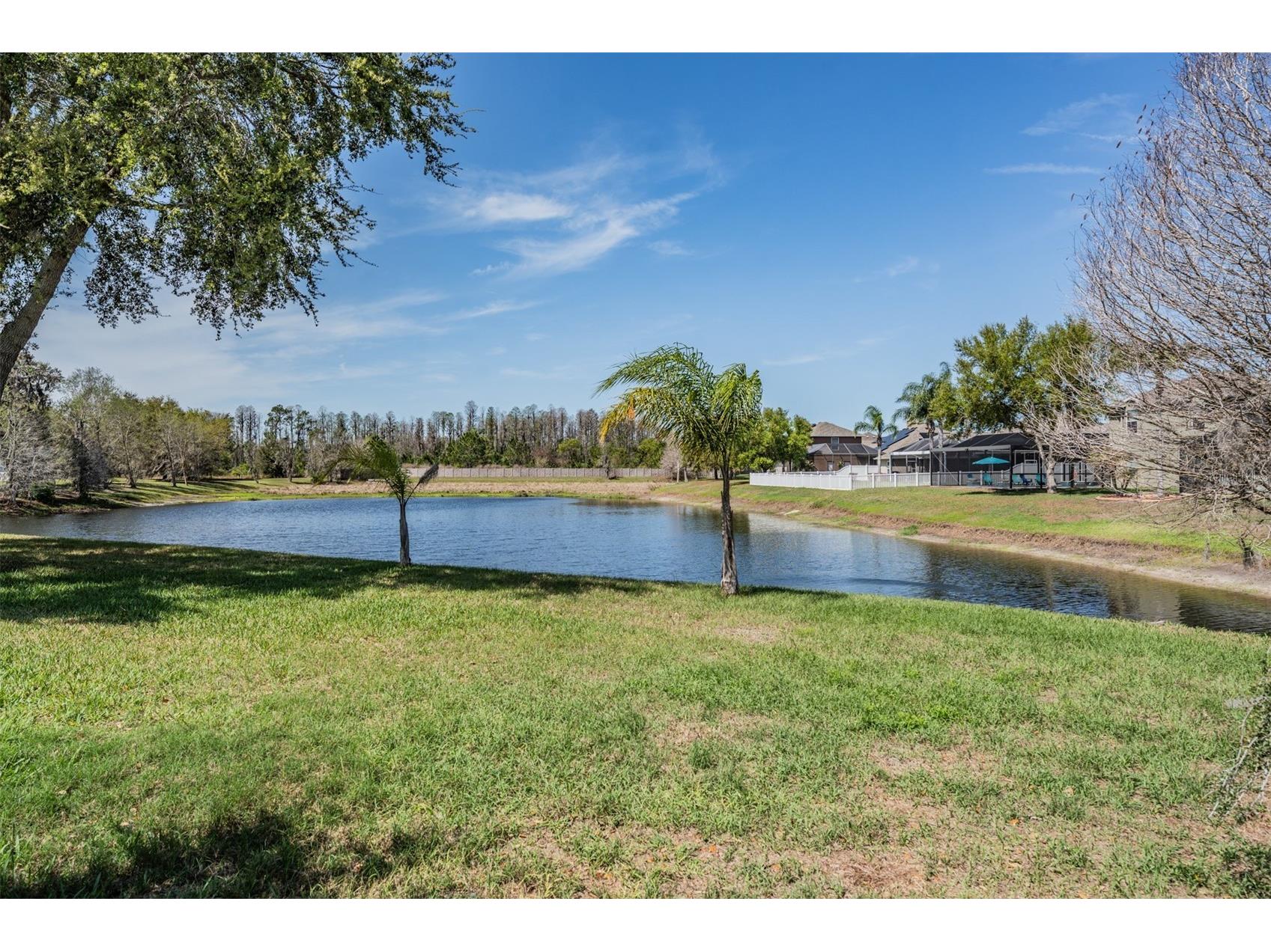 19101 Lone Creek Court Land O Lakes FL 34638 TB8486736 image3