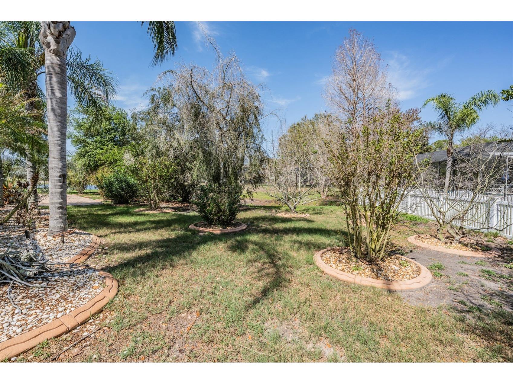19101 Lone Creek Court Land O Lakes FL 34638 TB8486736 image40