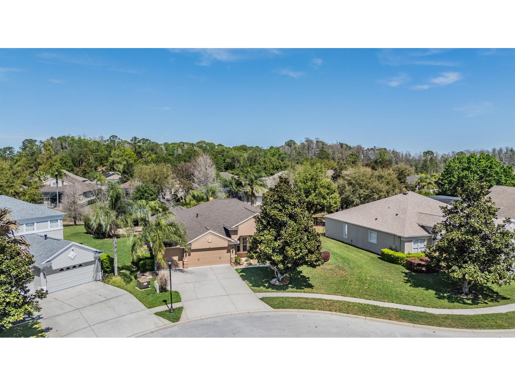 19101 Lone Creek Court Land O Lakes FL 34638 TB8486736 image47
