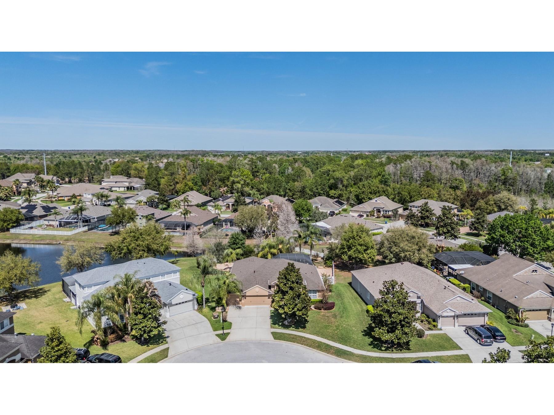 19101 Lone Creek Court Land O Lakes FL 34638 TB8486736 image49