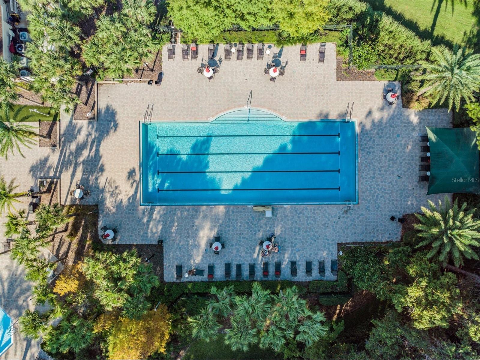 19101 Lone Creek Court Land O Lakes FL 34638 TB8486736 image63