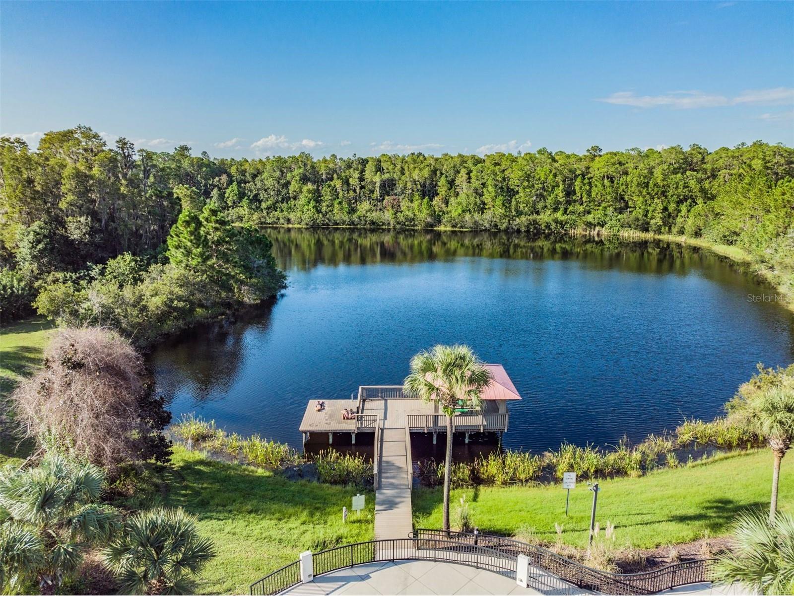 19101 Lone Creek Court Land O Lakes FL 34638 TB8486736 image66
