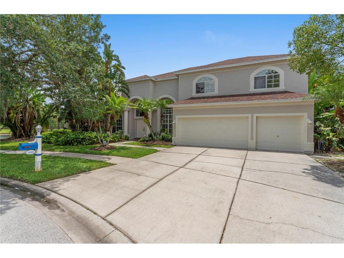 19102 Harborbridge Lane Lutz FL 33558 T3488121 image1