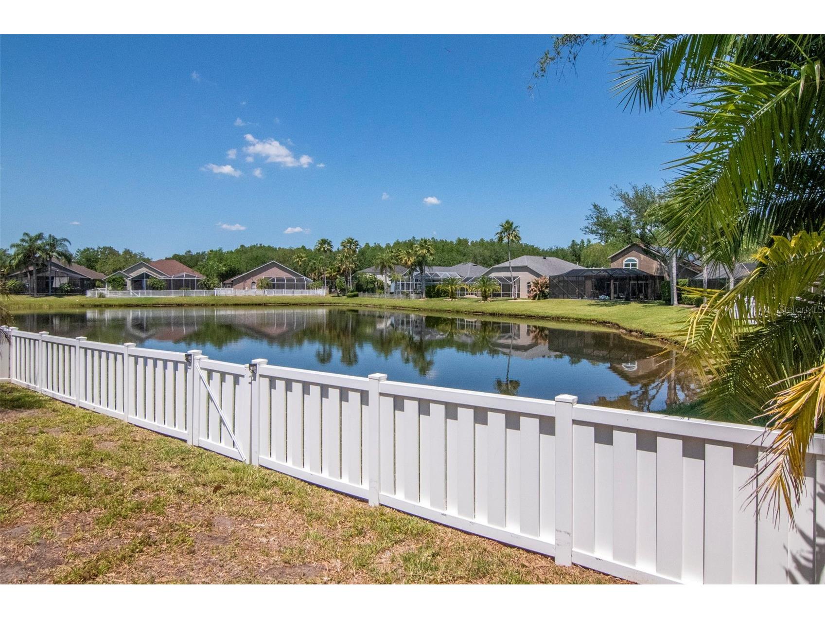 19103 Wind Dancer Street Lutz FL 33558 TB8499963 image37