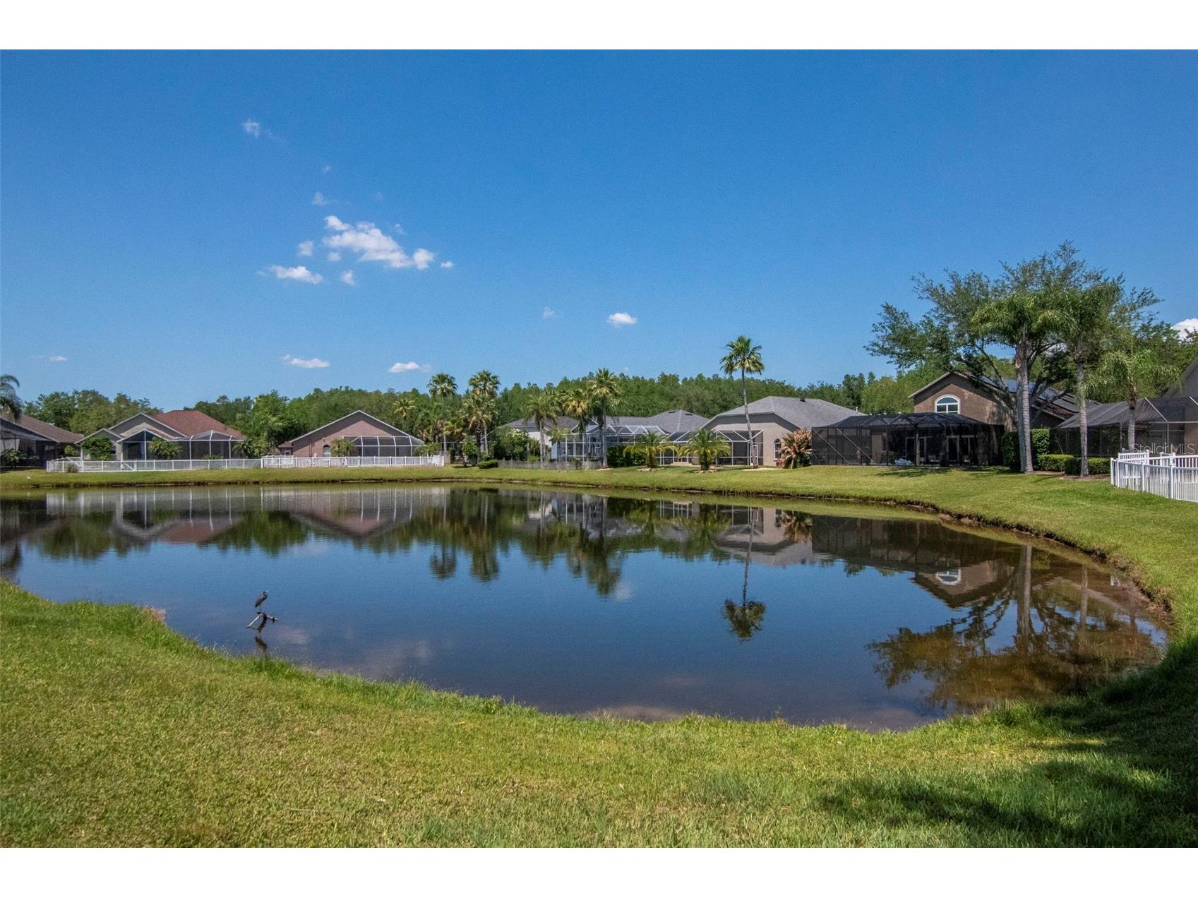 19103 Wind Dancer Street Lutz FL 33558 TB8499963 image38
