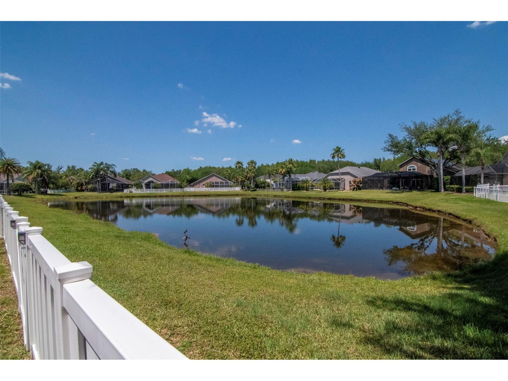 19103 Wind Dancer Street Lutz FL 33558 TB8499963 image40