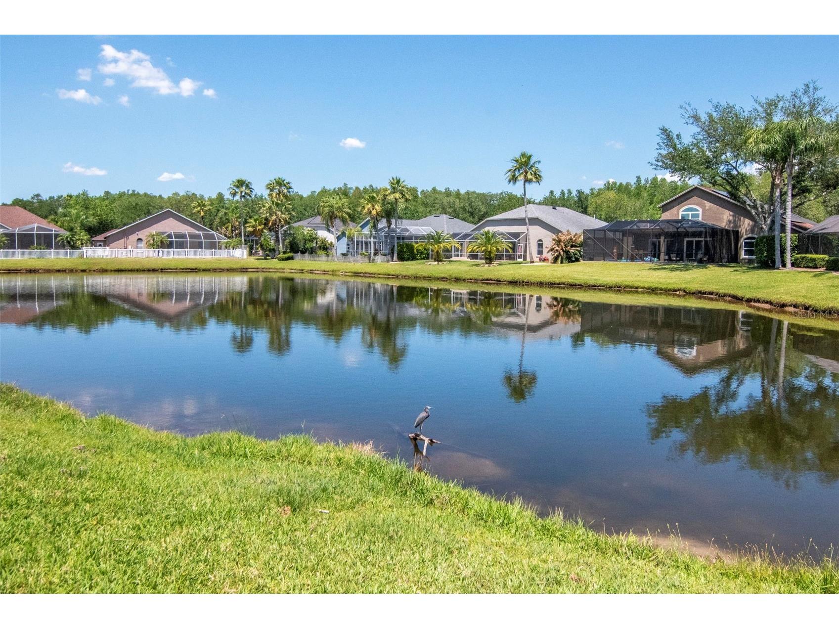 19103 Wind Dancer Street Lutz FL 33558 TB8499963 image42
