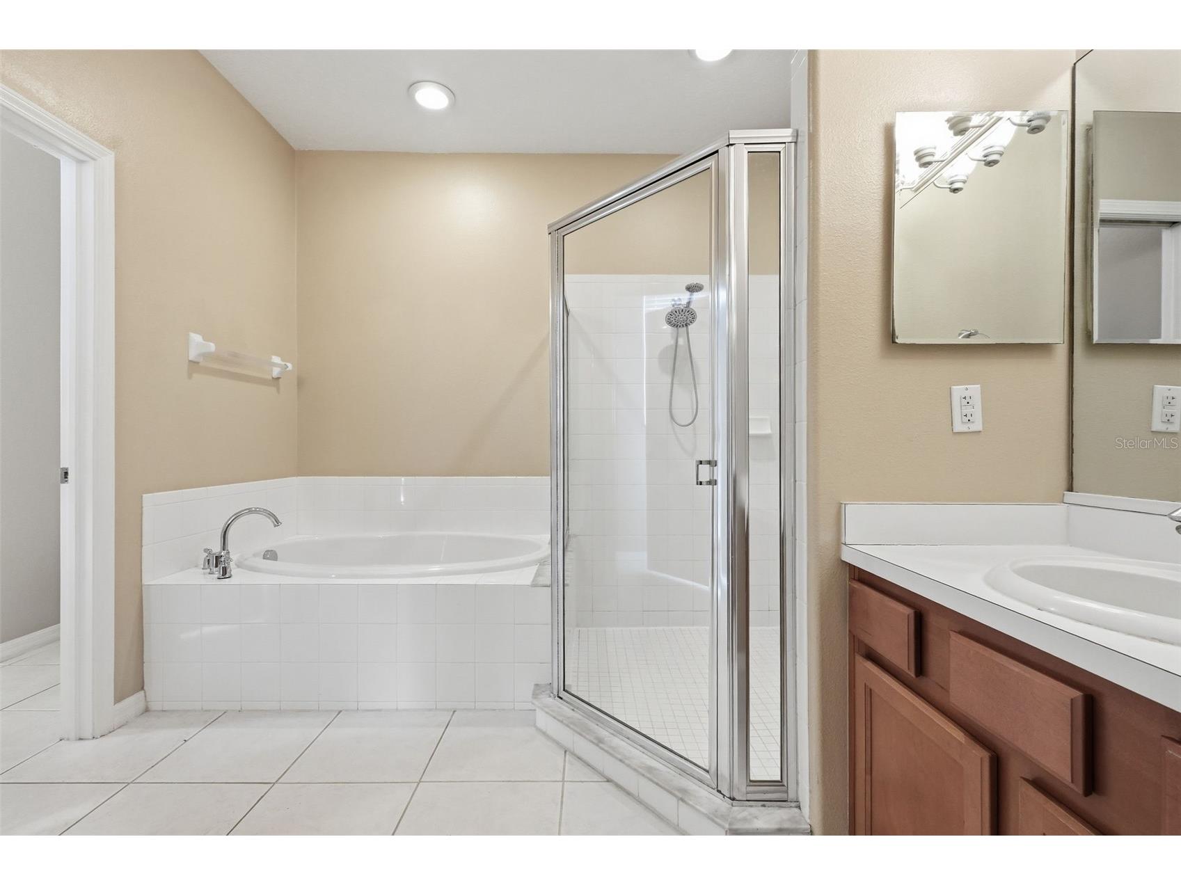 19106 Beatrice Lane Land O Lakes FL 34638 TB8489006 image21