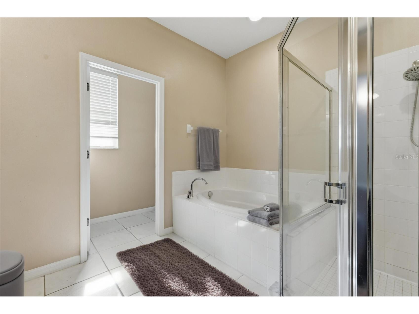19106 Beatrice Lane Land O Lakes FL 34638 TB8489006 image23
