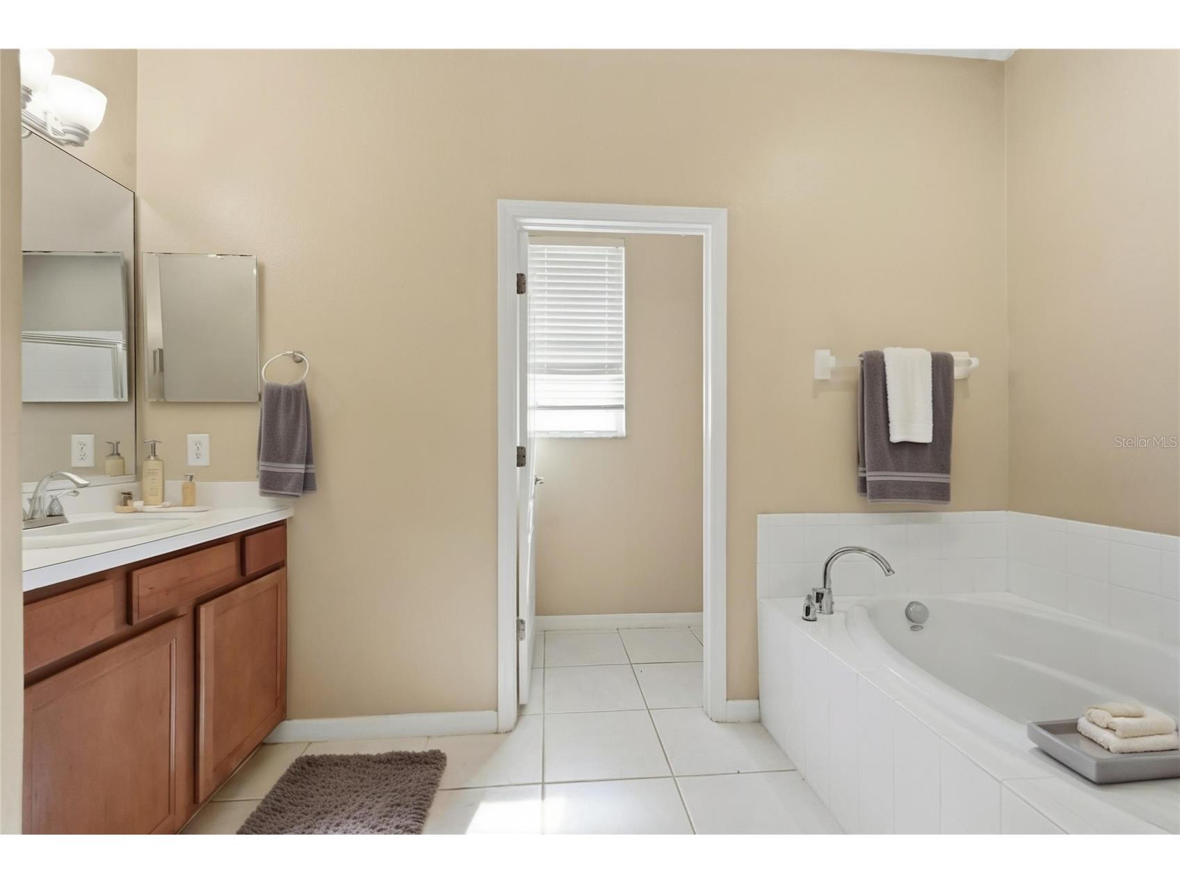 19106 Beatrice Lane Land O Lakes FL 34638 TB8489006 image25