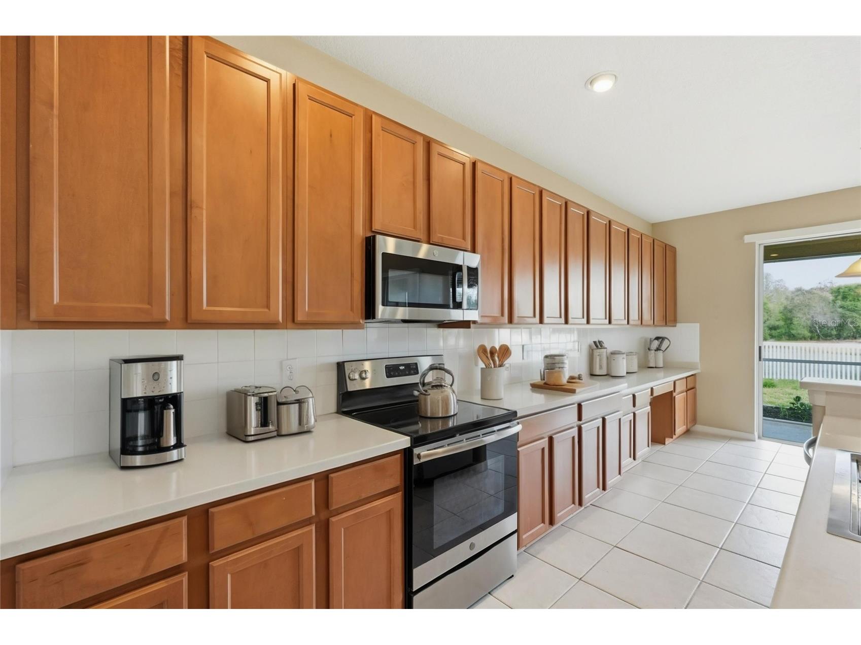 19106 Beatrice Lane Land O Lakes FL 34638 TB8489006 image41