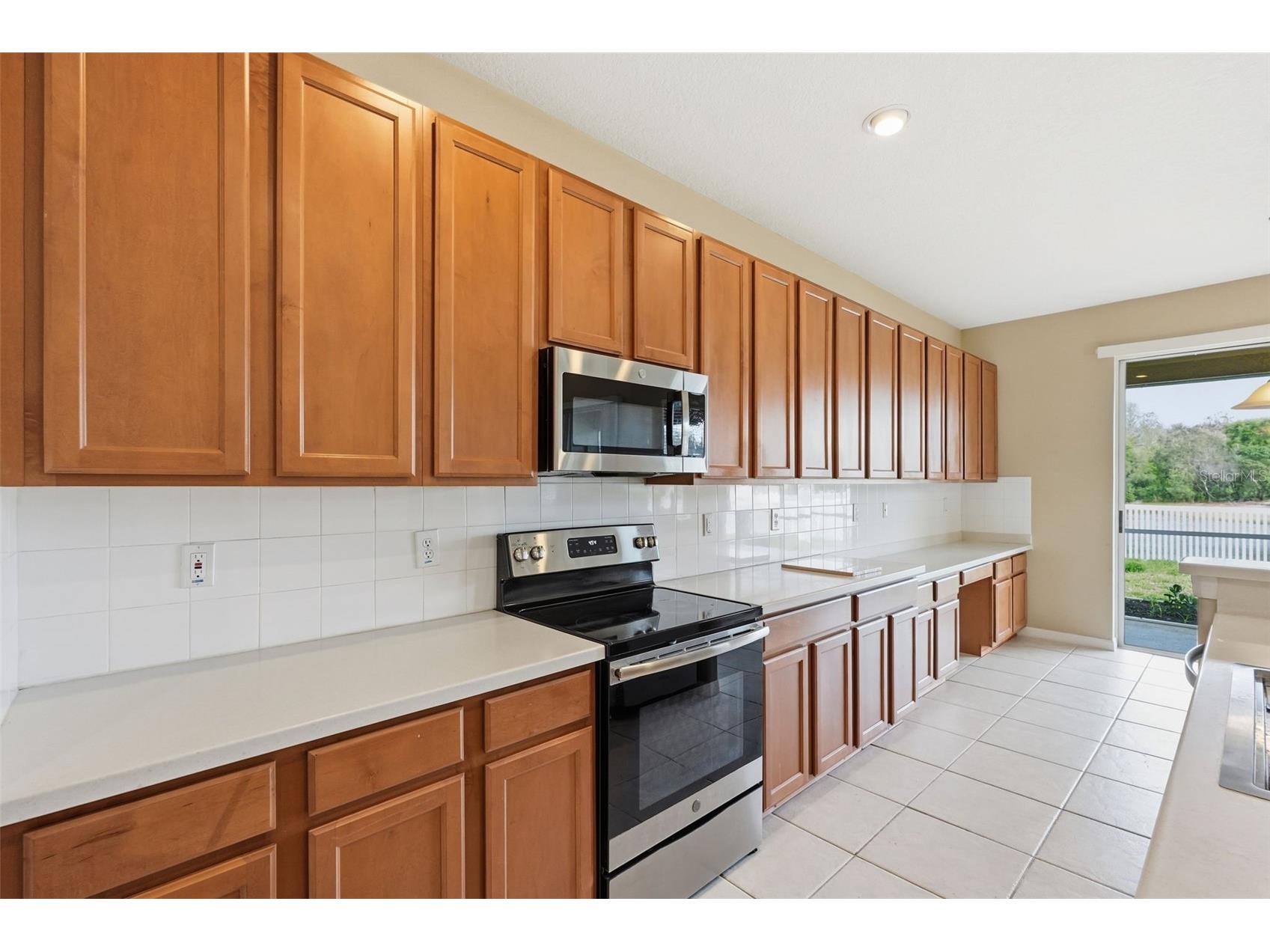 19106 Beatrice Lane Land O Lakes FL 34638 TB8489006 image42