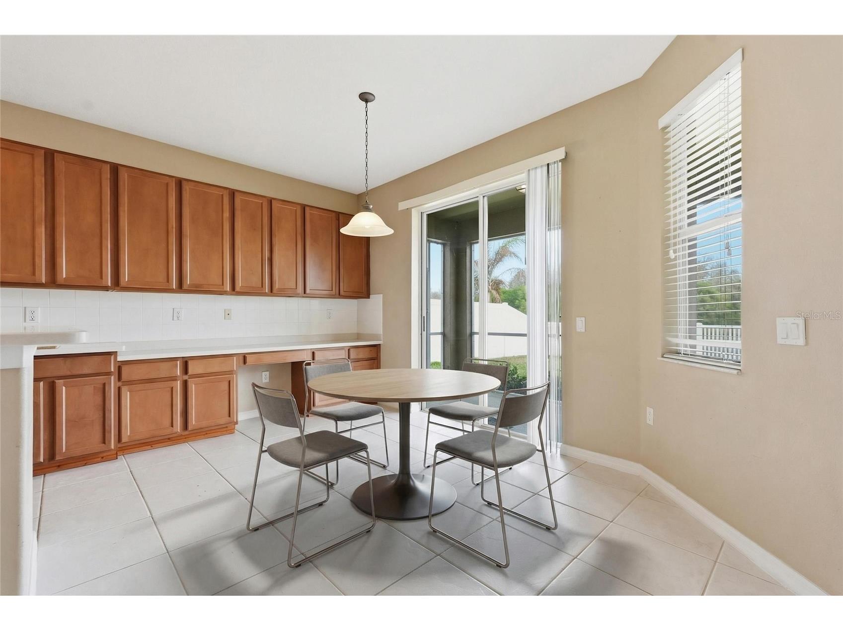 19106 Beatrice Lane Land O Lakes FL 34638 TB8489006 image43