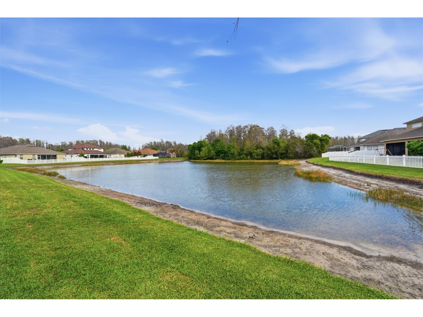 19106 Beatrice Lane Land O Lakes FL 34638 TB8489006 image65