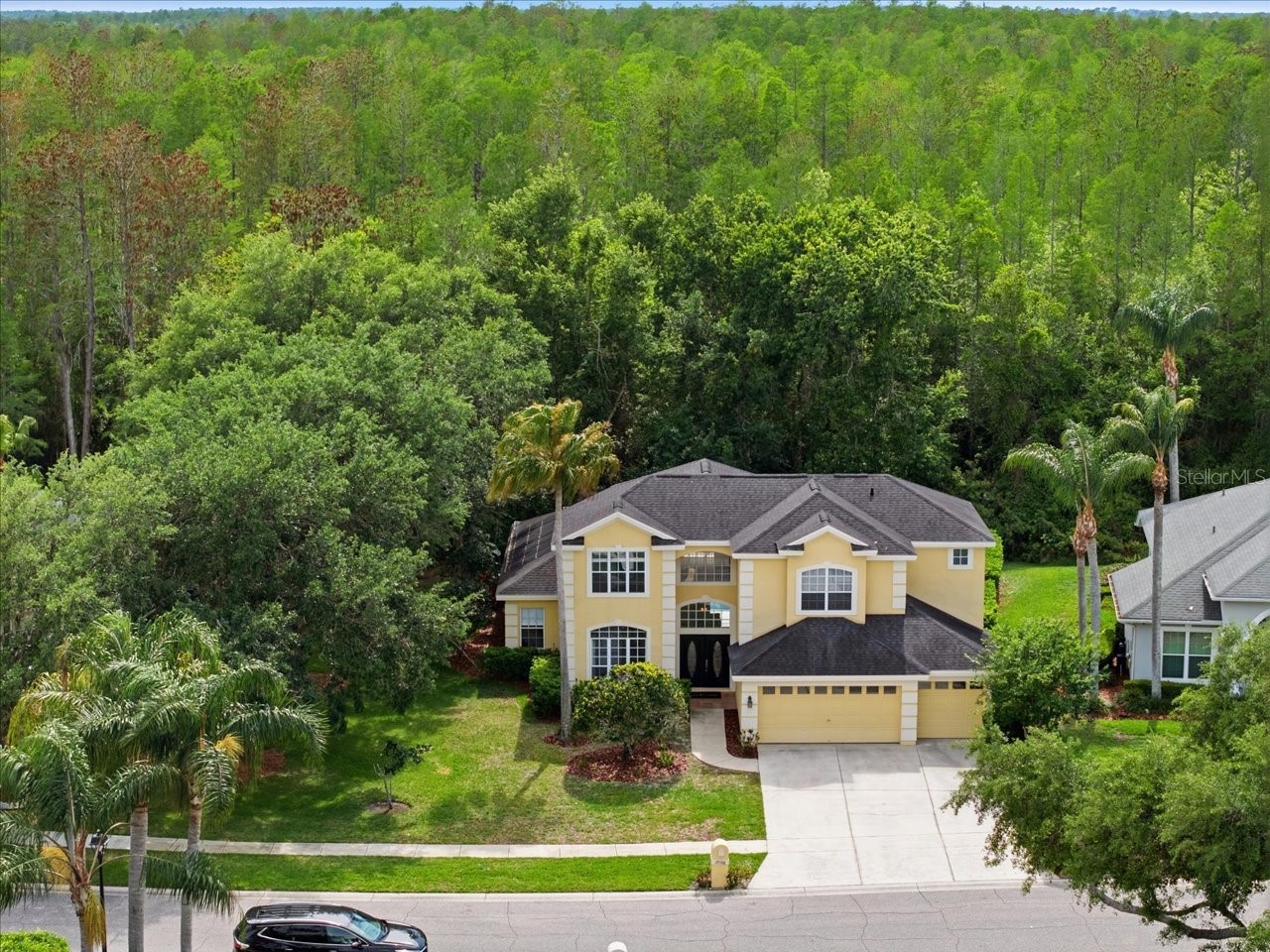 19106 Saint Laurent Drive Lutz FL 33558 TB8496188 image1