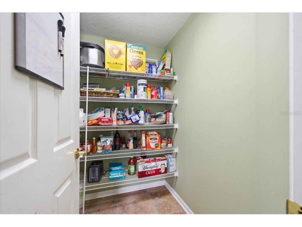 19106 Saint Laurent Drive Lutz FL 33558 TB8496188 image20