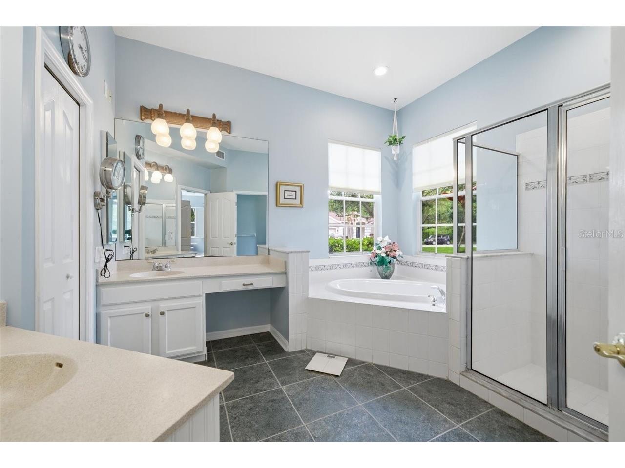 19106 Saint Laurent Drive Lutz FL 33558 TB8496188 image41