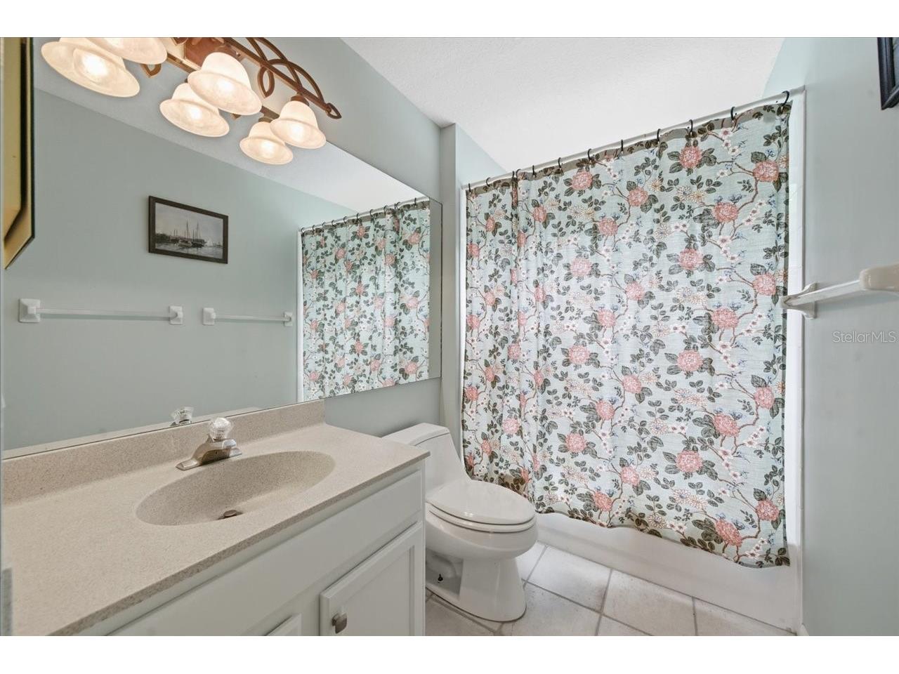 19106 Saint Laurent Drive Lutz FL 33558 TB8496188 image54